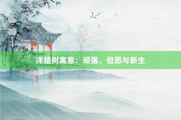 洋蜡树寓意：顽强、但愿与新生