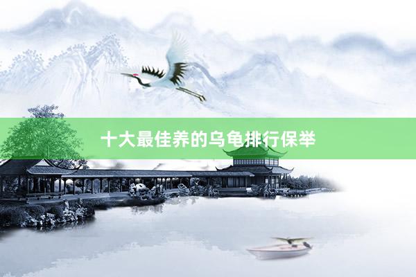十大最佳养的乌龟排行保举